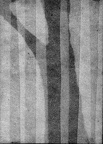 1985, 95×70 mm, papír, tuš