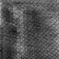 1981, 167×150 mm, suchá jehla