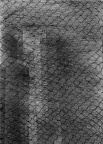 1981, 167×150 mm, suchá jehla