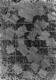 1983, 297×210 mm, papír, olej, uhel