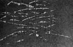1987, 100×152 mm, papír, olej, tužka