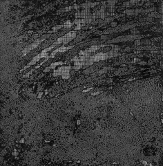 1982, 183×172 mm, suchá jehla, klovatina