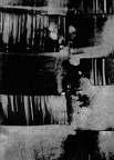 1993, 180×130 mm, papír, štětec, tuš